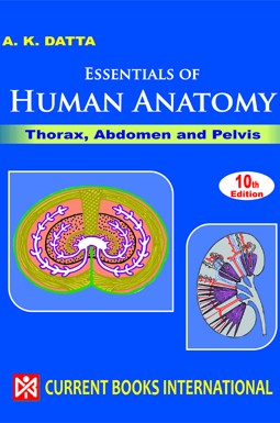 ESSENTIALS of HUMAN ANATOMY PART - I : THORAX AND ABDOMEN